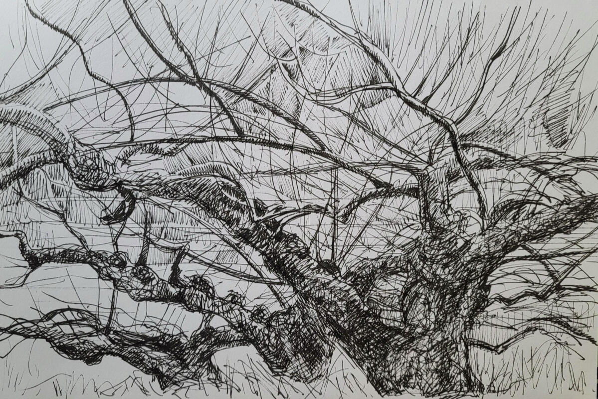 Untitled Untitled